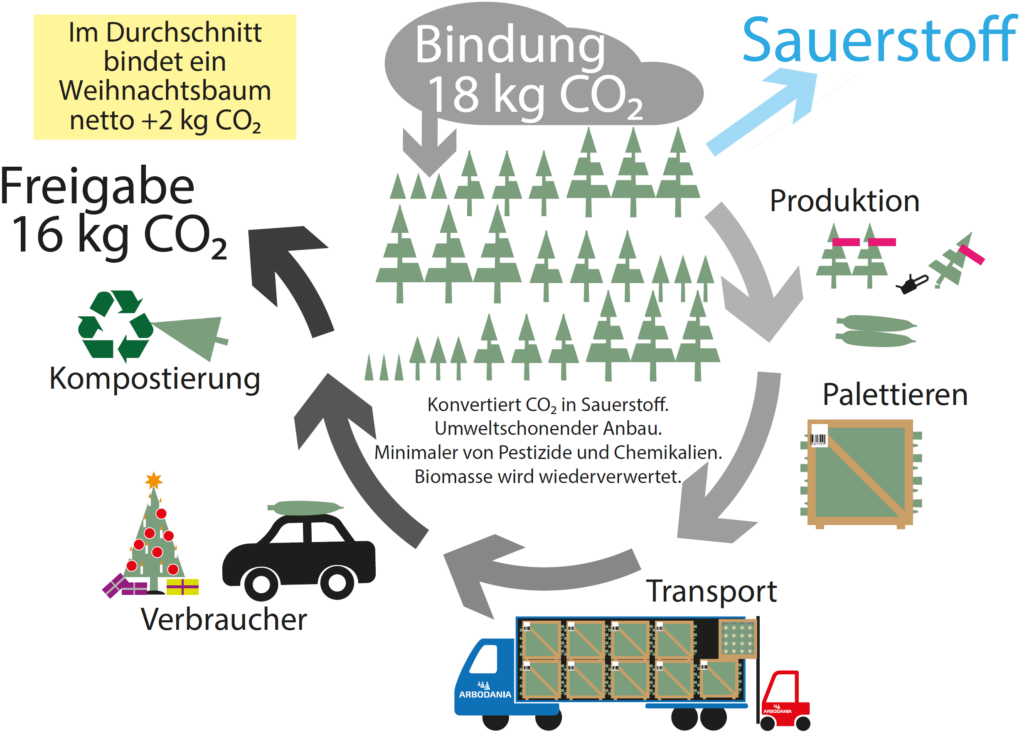 CO2 Bindung Weihnachtsbaum